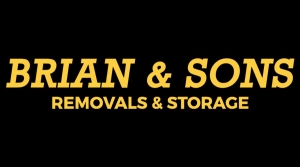 Brian and Sons Logo